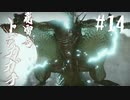 【女性実況】相も変わらず弓使いがひと狩り行くぜ！【MHR】#14