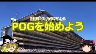 【競馬】POGを始めよう　その１概要編