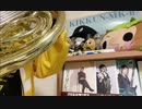 【演奏してみた】アスヘノBRAVE【KIKKUN-MK-Ⅱ誕生日記念】