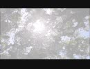 輪音イクト - アンプランド