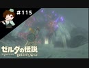 【実況】マスターモードでやりこみサバイバル生活！！　Part115【ゼルダの伝説　BotW】