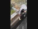 【悲報】aiueo700さん、復活する part8
