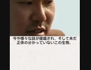 野獣先輩ヴァルキリー説