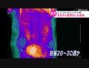 エジプト「妊婦のミイラ」初の確認 ポーランドの博物館に保管
