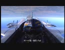 【広報】航空自衛隊 ブルーインパルス 展示飛行課目 ( Japan Air Self-Defense Force Blue Impulse Aerobatics )