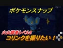 ポケモンスナップ　コリンクを撮りたい！　火山調査レベル２　【New ポケモンスナップ】