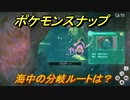 ポケモンスナップ　海中の分岐ルートは？　【New ポケモンスナップ】