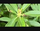 無条件の波動３９２　～愛の波動を感じて～
