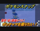 ポケモンスナップ　ポッチャマを撮りたい！　雪原（昼）調査レベル１　【New ポケモンスナップ】