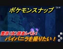 ポケモンスナップ　バイバニラを撮りたい！　雪原（夜）調査レベル１　【New ポケモンスナップ】