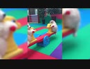 [爆笑]おもしろ動物1