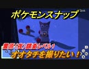 ポケモンスナップ　オオタチを撮りたい！　雪原（夜）調査レベル１　【New ポケモンスナップ】