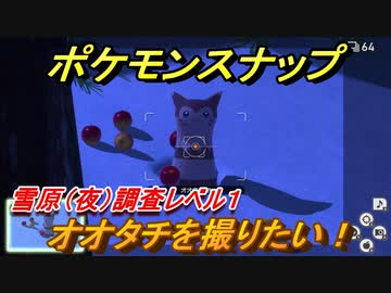 ポケモンスナップ オオタチを撮りたい 雪原 夜 調査レベル１ New ポケモンスナップ ニコニコ動画