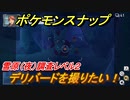 ポケモンスナップ　デリバードを撮りたい！　雪原（夜）調査レベル２　【New ポケモンスナップ】
