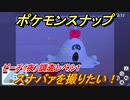 ポケモンスナップ　スナバァを撮りたい！　ビーチ（夜）調査レベル１　【New ポケモンスナップ】