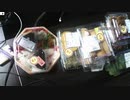 あの枠【2021/04/19】