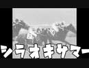 ウマ娘ガチャ攻略法～シラオキ教に入信しよう～