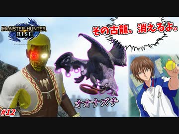 【モンハンライズ】顔面閃光玉VSステルス迷彩 #12【オオナズチ戦】※再投稿