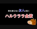 何も知らない友人と往くハルウララ金策　#0