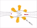 君の体温　を歌ってみたByLANLAN