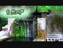 【30秒でリラックス】自然の声～真梨清水～【睡眠・休憩・リラクゼーション用環境音】