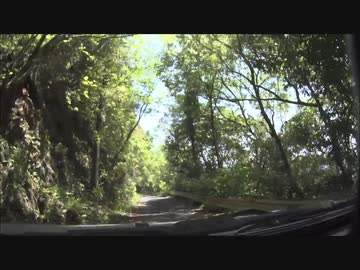 【車載動画】岡山県玉野市常山城跡登城