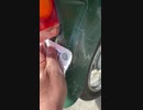 カブに、毎日、蜘蛛の巣が張られる