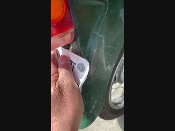 カブに、毎日、蜘蛛の巣が張られる