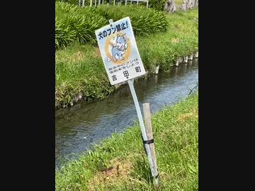 犬のフンを禁止