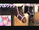 【続編】ハルウララがニンジンを「うみゃあ！」する動画　2021/04