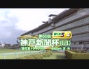 第60回神戸新聞杯G2（菊花賞トライアル）優勝ゴールドシップ