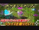 ポケモンスナップ　シェイミを撮りたい！伝説ポケモンの出現場所は？　【New ポケモンスナップ】