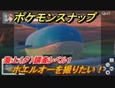 ポケモンスナップ　ホエルオーを撮りたい！　海上（夕）調査レベル１　【New ポケモンスナップ】
