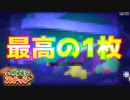 文句のつけようがない100点満点の1枚が撮れました【New ポケモンスナップ】