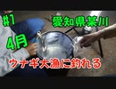 【#1 釣り動画】4月にウナギ大漁！愛知県某川で数時間でウナギが大漁に釣れます！