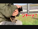 2021/05/03放送【32日目 岩手県陸前高田 あずにゃんぽ（猫散歩）】猫と車中泊　日本縦断　サイコロの旅　北海道にたどり着けるか？【旅猫あずき～保護猫から旅猫へ～】
