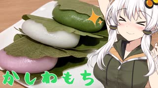 ストレイルームからの脱出 Rta 01 56 96 ゲーム ニコニコ動画のニコッター