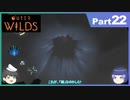 【ゆっくり実況】ムラいちがOuter Wilds Part22