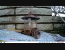 トレイルカメラで雀撮ってみた　20210504