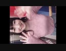 見て見て見て！あのおっぱい見て見て見て！