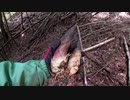 （ＧＷ番外編）変態忍者の、有害鳥獣駆除従事活動記・ＧＷ編３