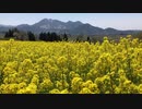 春色の風が吹く頃に