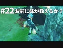 【実況】お前に妹が救えるか？【ニーアレプリカントver.1.22474487139...】ネタバレあり #22