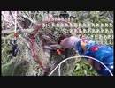 05.04 【魚釣り】久しぶりのおじさん