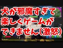 第02回 NPCという概念をやめなさい編【めざせLv61 フォトナ今日からちゃんとやります】