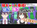 陰キャットを脱するため剣持刀也にアドバイスをもらいながら成長していく文野環【本間ひまわり/鷹宮リオン/にじさんじ切り抜き】