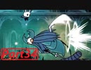 【実況】小さなムシの冒険譚　ホロウナイトpart34