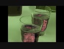 自分を飲む
