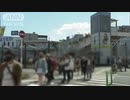 ホモと見るコロナ禍の野外音楽フェス