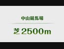 【ウマ娘】レースBGMで巡る中山競馬場・芝・2500m【有馬記念】